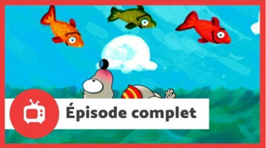 De toutes les couleurs